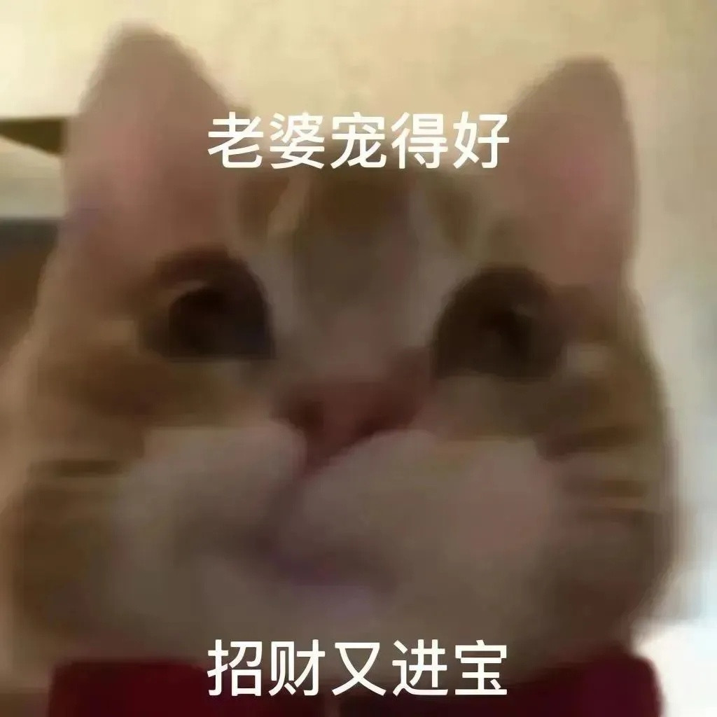 猫咪撒娇八连拍​​​