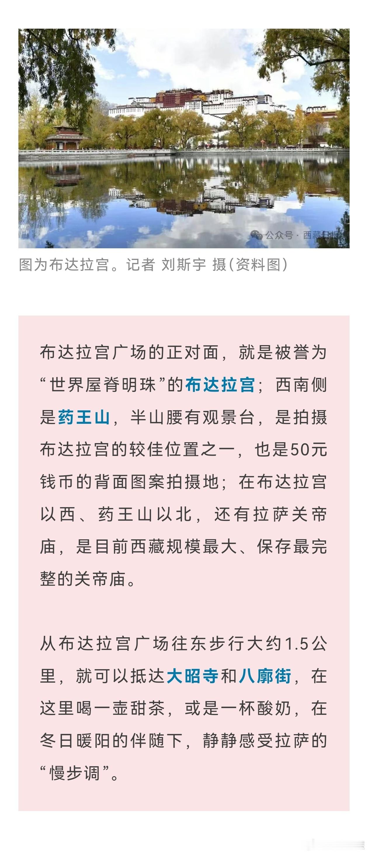 海报最高春晚分会场在拉萨！海拔最高的春晚分会场的含“景”量！！!谁懂啊日前，