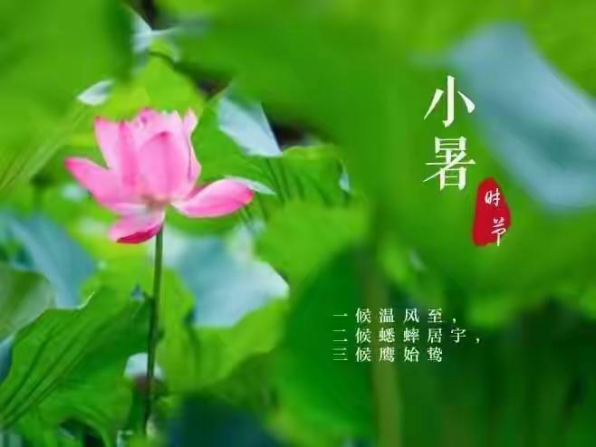 上联：花有相思叶有愁下联：山无寂寞水无忧