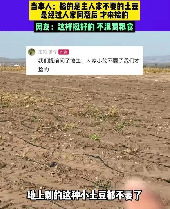 谁懂啊！去内蒙古旅行居然能捡到“免费土豆”？李先生一家三口路边发现土豆地，刚想捡