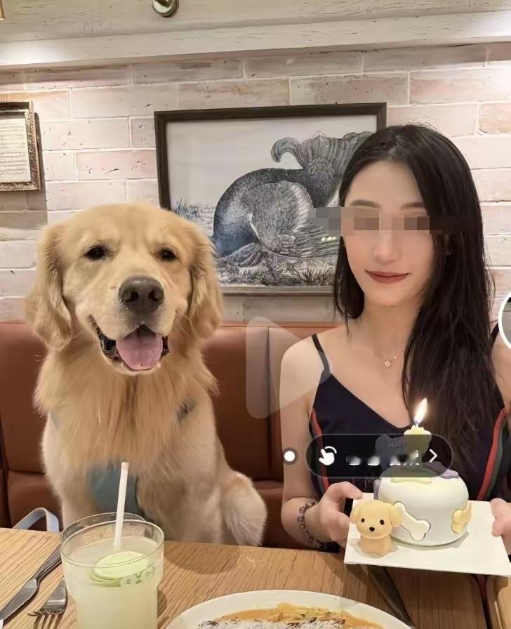 武汉烧烤店流口水金毛主人被曝光，是个年轻又漂亮的女子，令人气愤的是，她已经不是第