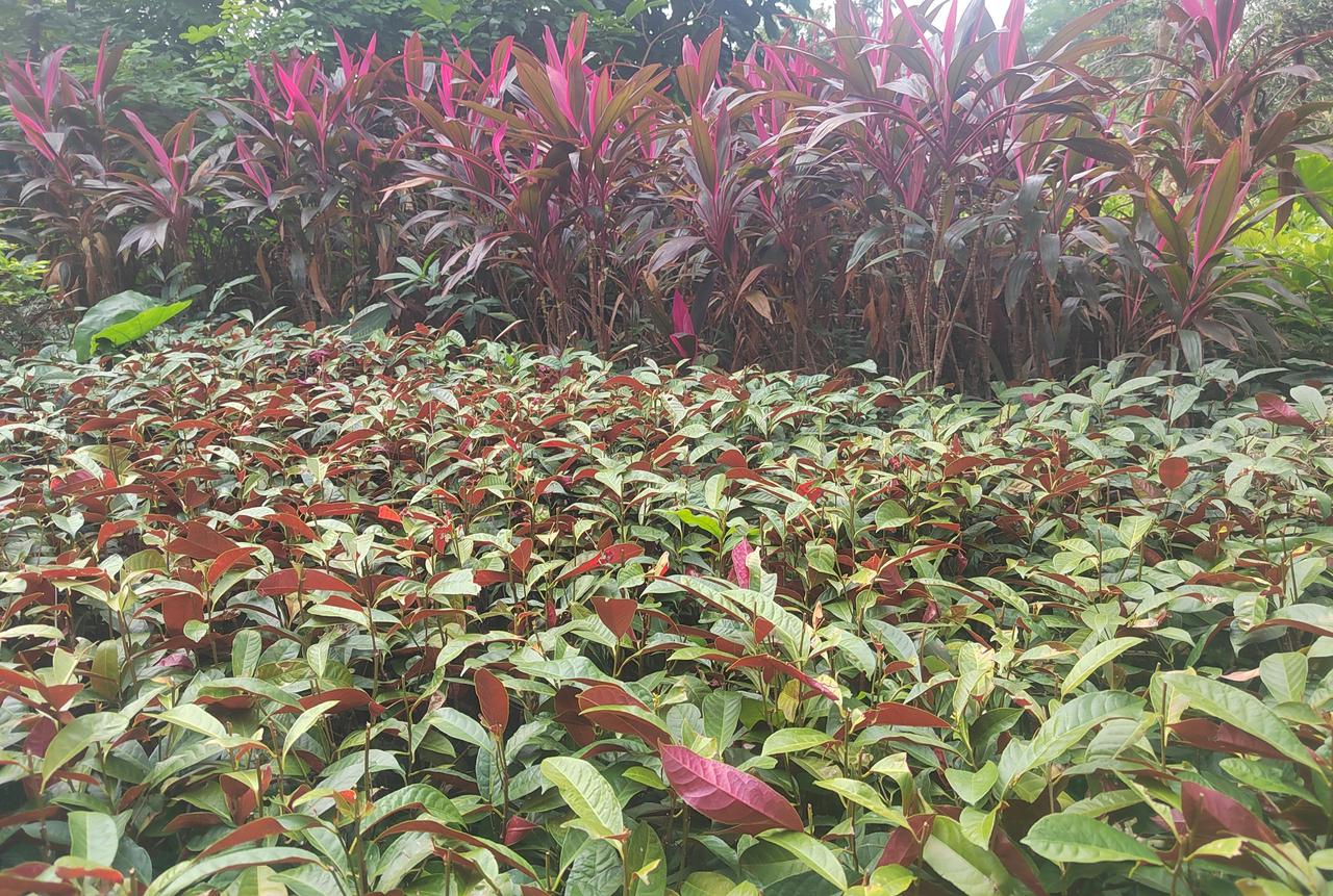 人生短暂，如白驹过隙。我们在时光中跋涉，经历悲欢离合，才懂得平淡是真。健康与真情