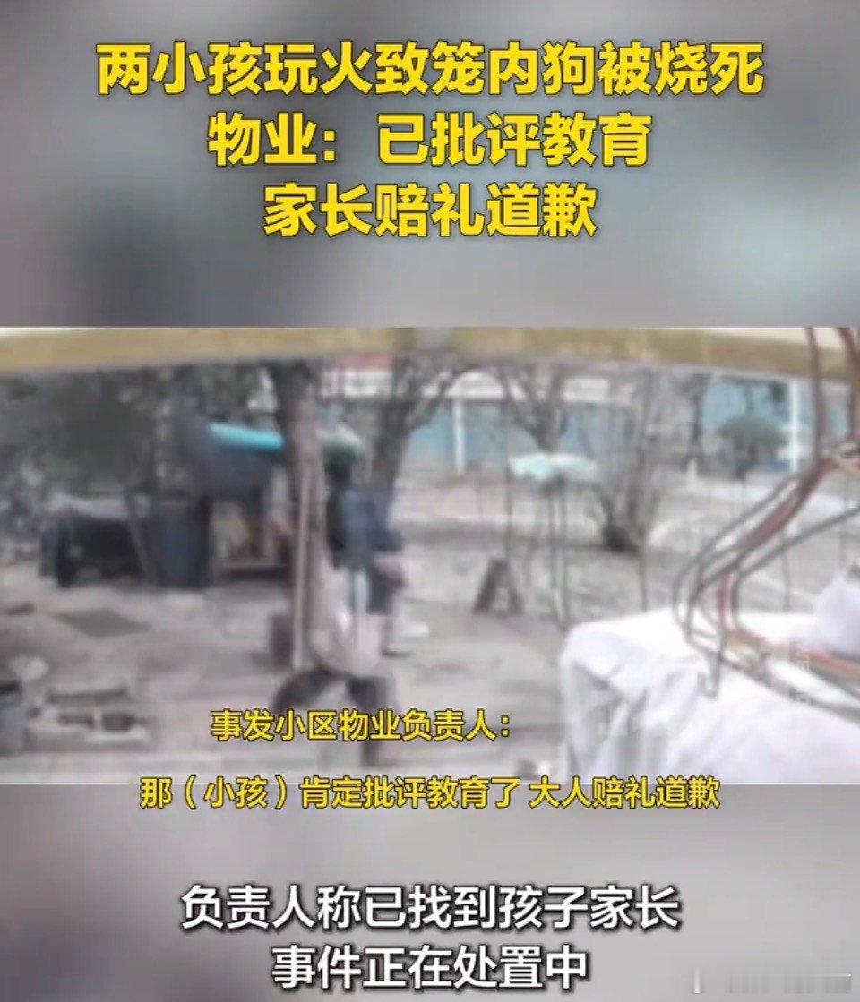 太恶心了，除了批评教育，真的没其他办法惩治玩火烧死萨摩耶狗的俩男孩吗