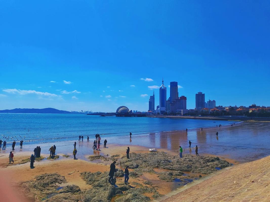 五大计划单列市财政表现来了！深圳、宁波、青岛、厦门、大连五大计划单列市是我国