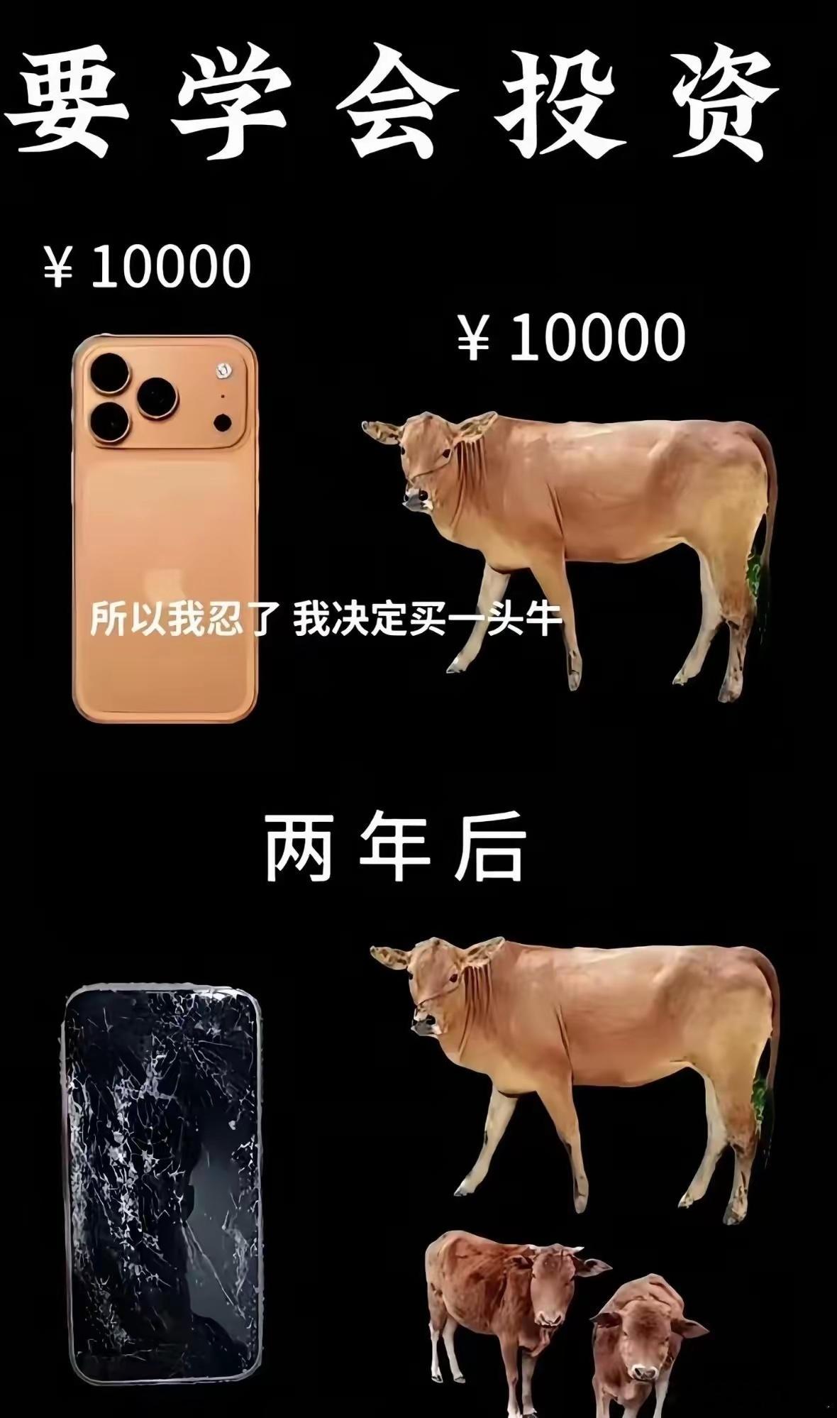 看到这图的时候，我真莫名地想笑