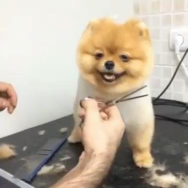 2874557960589096058.jpeg?id=0