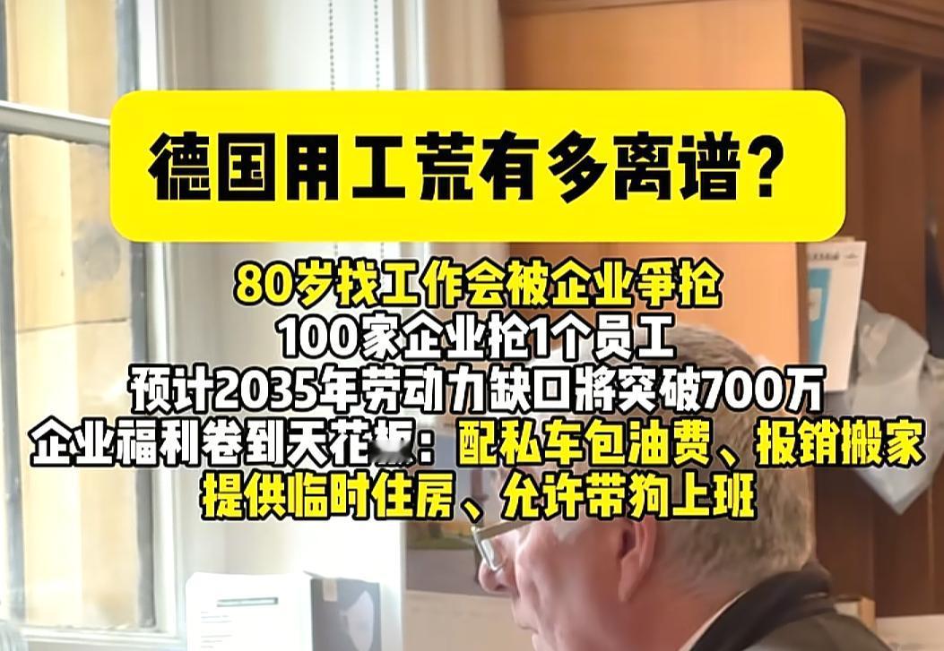 有时候三年买房买车，五年实现财务自由的未必是意林和公知，也可能是移民中介。