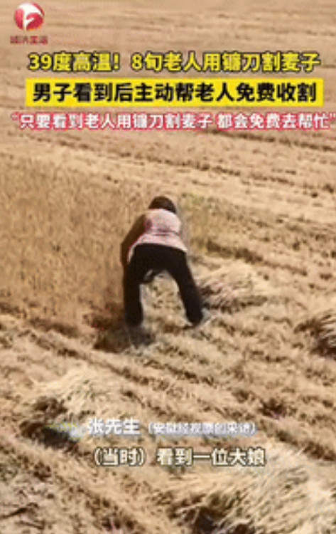 仗义多是屠狗辈！”5月22日，河南郑州，一8旬老人拿着镰刀在39度的高温下割麦子