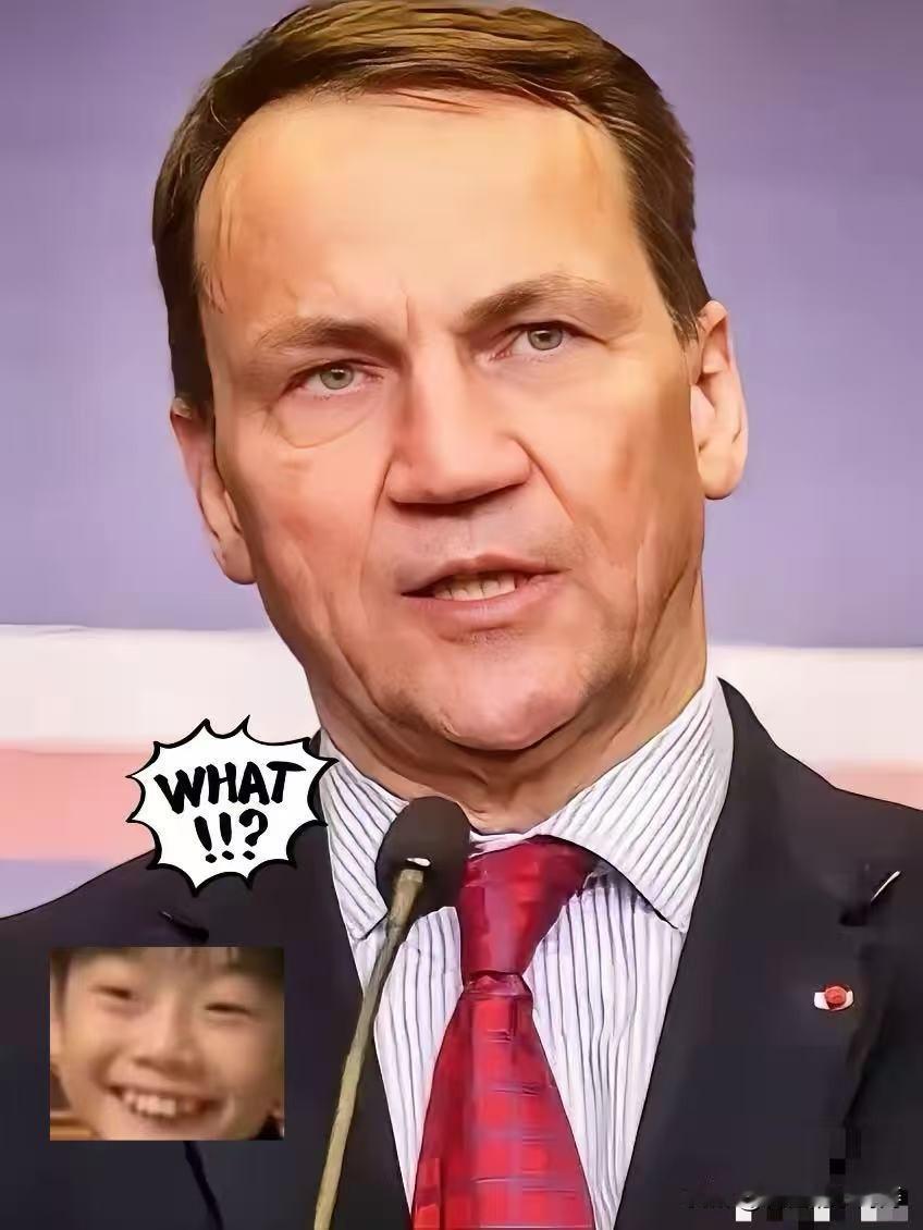 就在刚刚波兰正式宣布！波兰前脚刚指责中国“经济捆绑”，审查起了啤酒厂并购案，