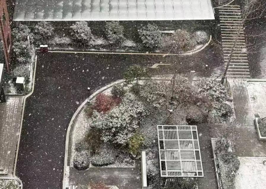 昨晚公公打电话说，新疆的大姑去世了，我老公纠结要不要去，公公的意思是礼到就行了，