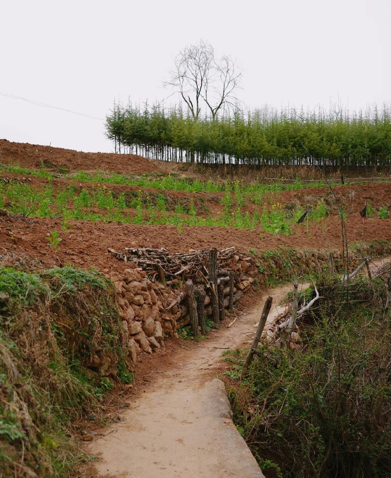 ：）曾仕强老先生说现在大家都要减肥减肥，减到一身都没有福气，骨瘦如柴，你跟谁过