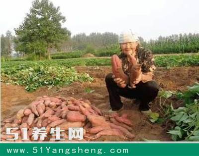 价格便宜的“抗癌第一”食物, 中午食用效果最佳!