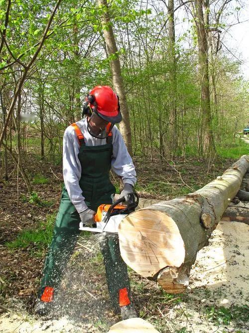 河南夏邑，男子砍树时被歪倒的树砸伤，急需手术治疗，当时男子家里没人，同行人都是文