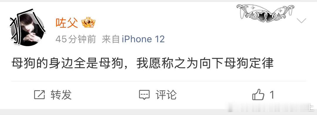 来自机型iPhone12的小朋友你好我记得我好像没惹你吧然后就是我是那个母狗帮帮主​