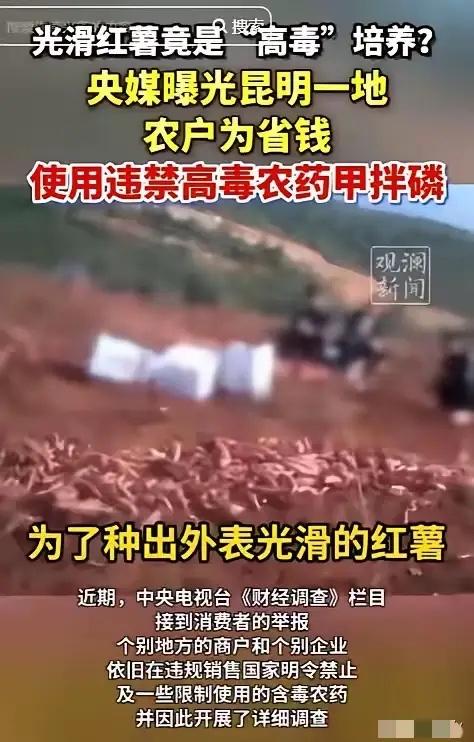 如果不是央视的报道谁会想到餐桌上的青菜、萝卜、红薯竟然是用敌百虫来杀虫的！​相