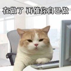 一些可爱猫猫表情包🐈金秋壁纸大放送