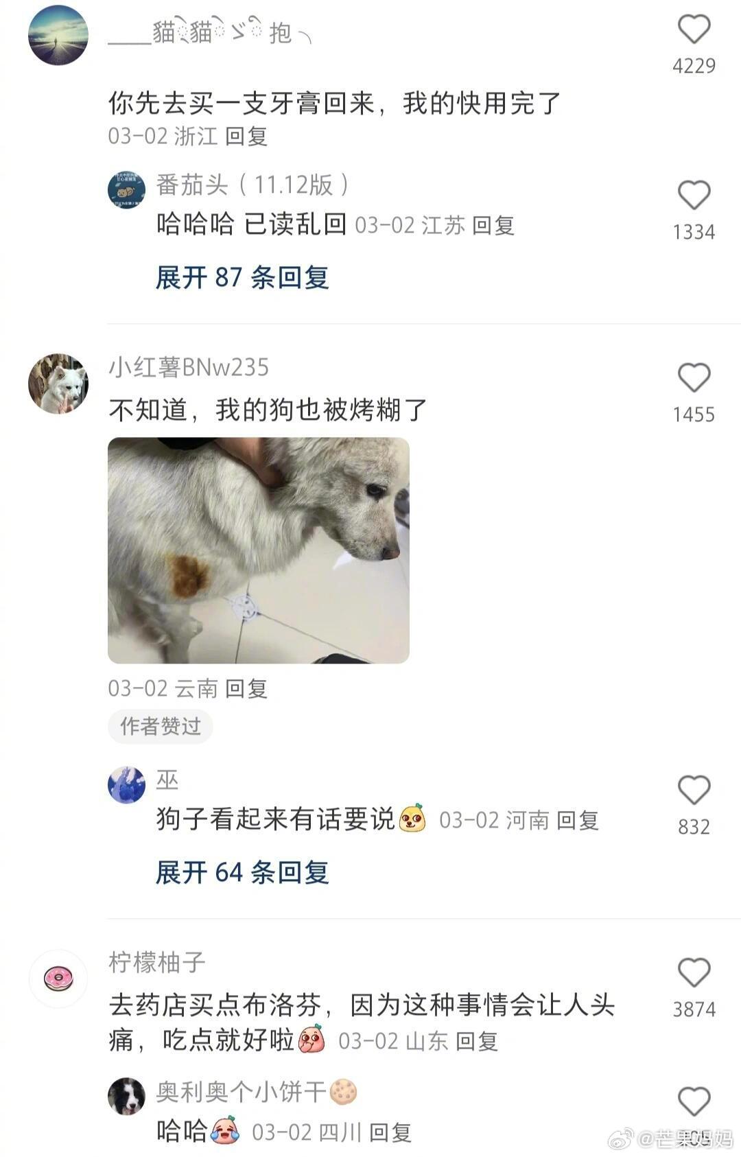 看评论真的每一条都出其不意哈哈哈哈哈