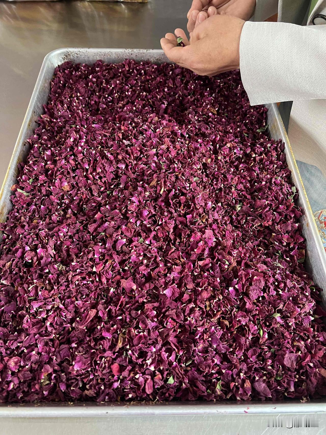 地点：兰州玫瑰花瓣做玫瑰饼这是我去兰州永登县去买这种玫瑰饼，发现店家做玫瑰饼的