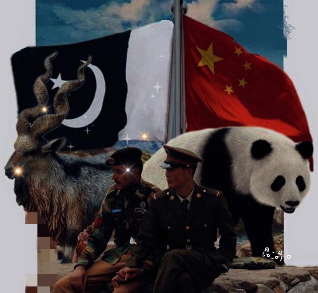 中国养出了“白眼狼”！？中日关系紧张。就在中国最需要国际社会的力量，来给日方