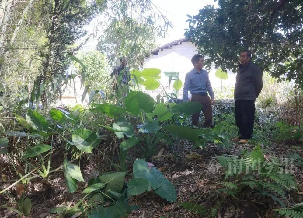 59斤“地下神器”惊现柳州！挖蚯蚓挖出千年铜鼓，敲之仍有声柳州柳城县的河边