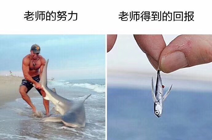 哈哈哈哈哈老师们辛苦了