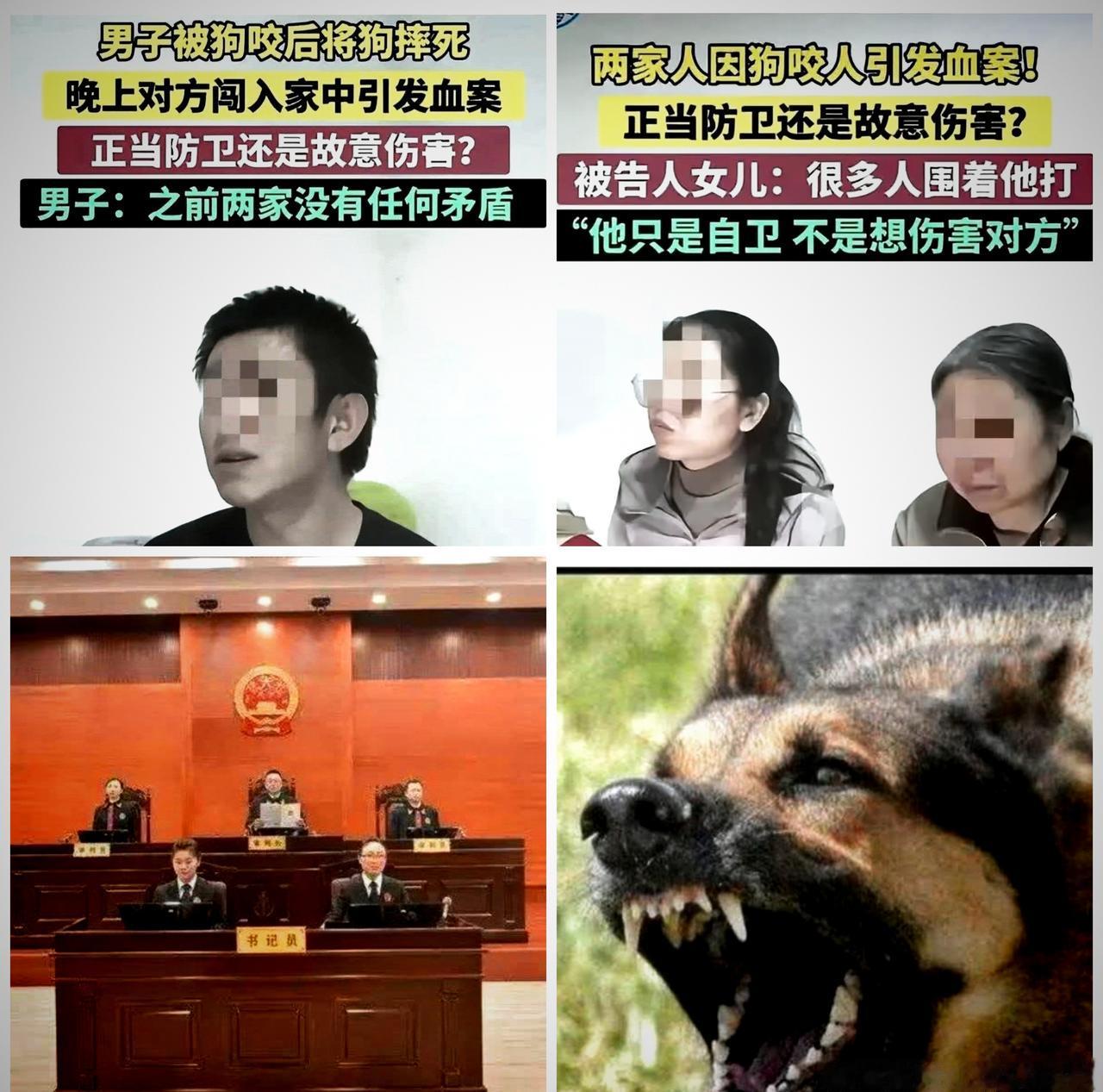 难道要让防卫者在自家宅院里束手就擒，才算“不过当”？说实话，能看出这狗