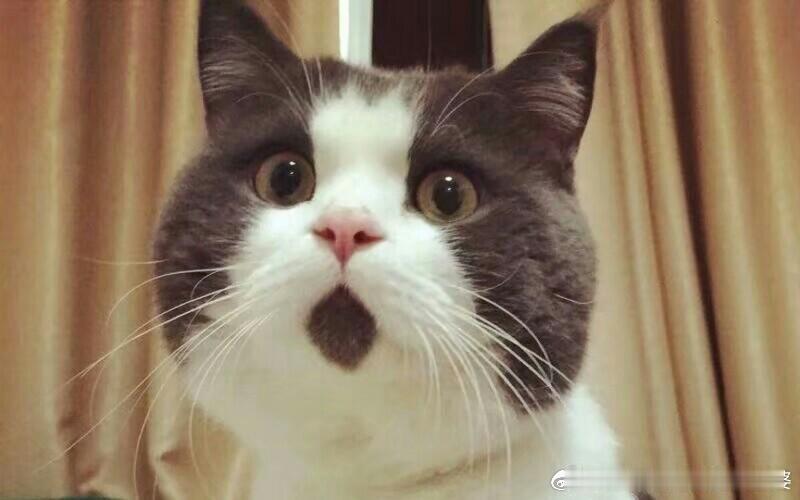 孩子存1000比你存20万利息高你不说我不知道，现在3年期定期年利率只有1.3%