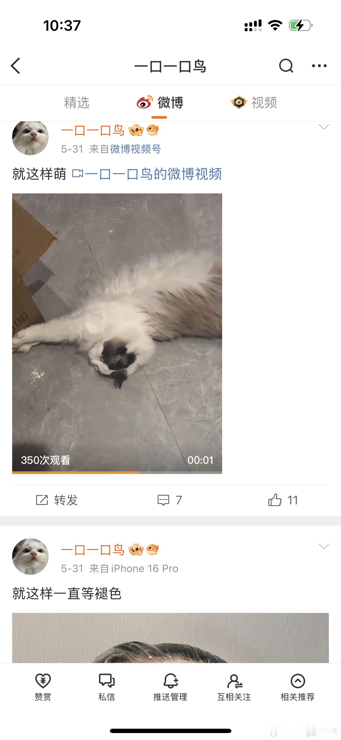 这个一口尿就这一一直一直模仿我！​​​