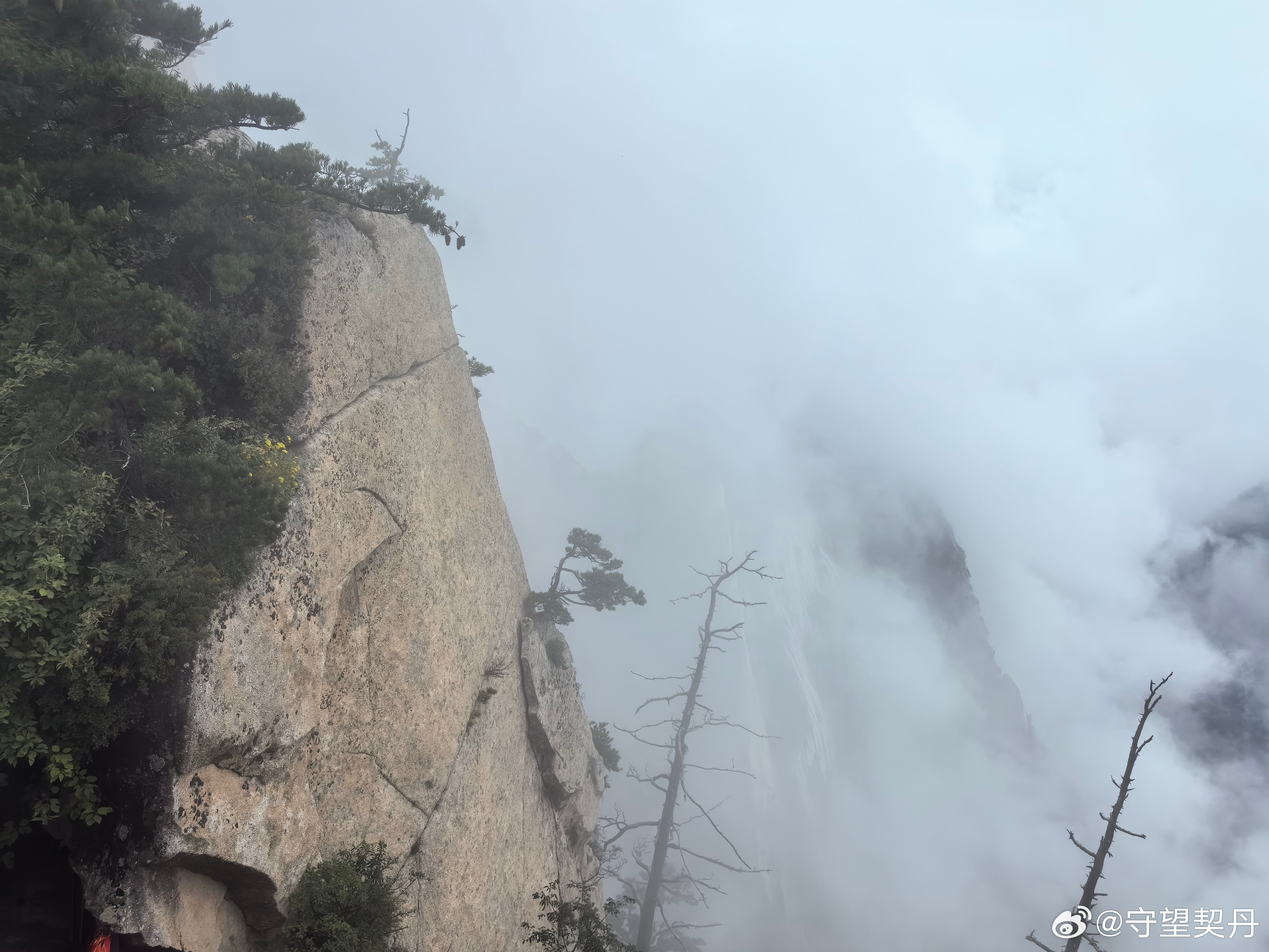 雨中的华山，别有一番滋味。云雾在山腰缠绕，石阶湿滑如镜，每一步都得踩实了才敢抬