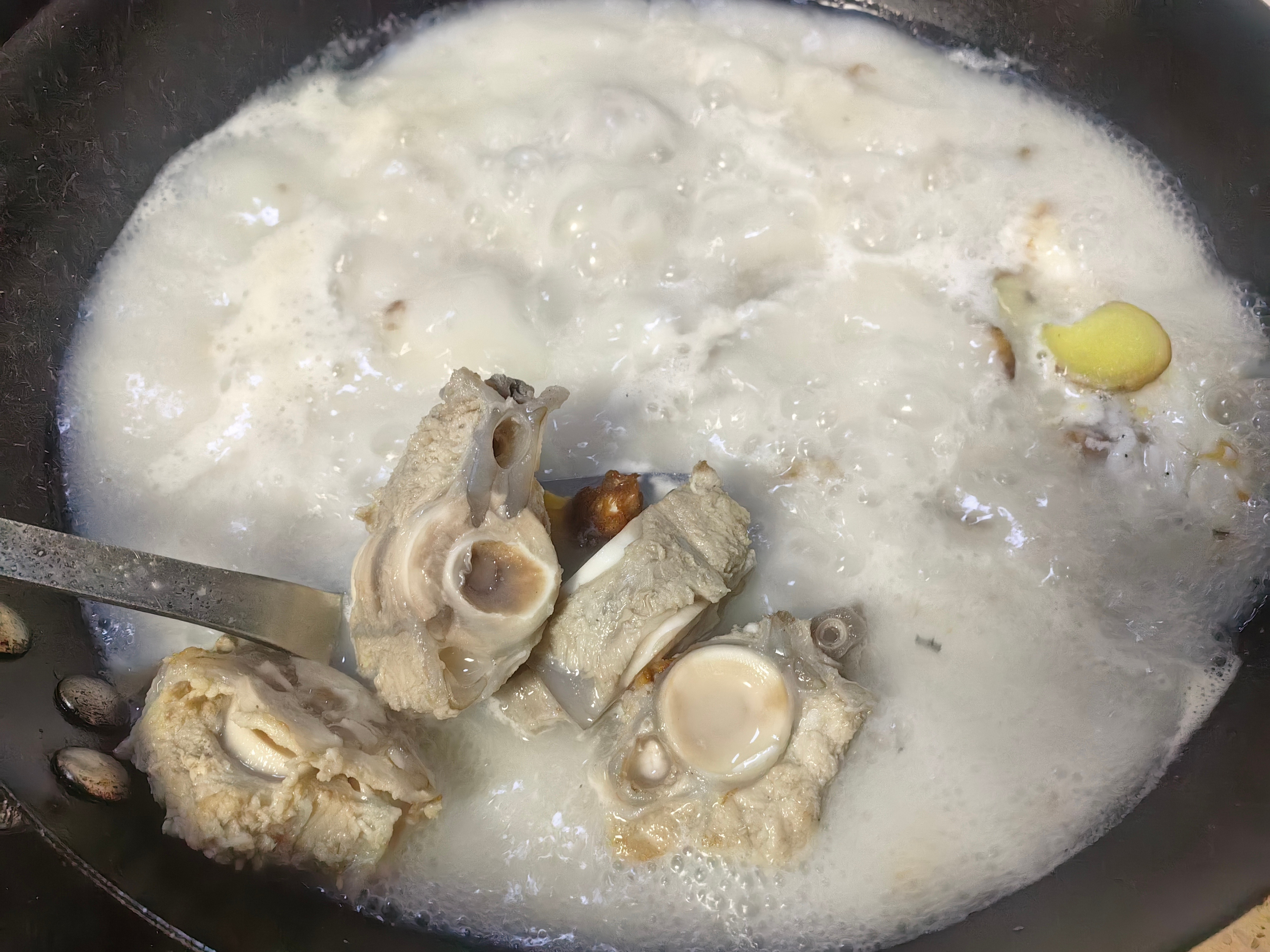 家常菜鱼骨汤，茄子🍆，佛手瓜油蛤，鸡腿肉，芥末花螺。清蒸鱼。