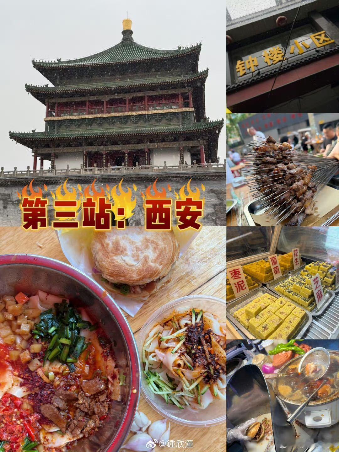 阿娇带着小狗自驾游好治愈天呐！阿娇带着Kuma打卡西安的样子太会玩了！肉夹馍