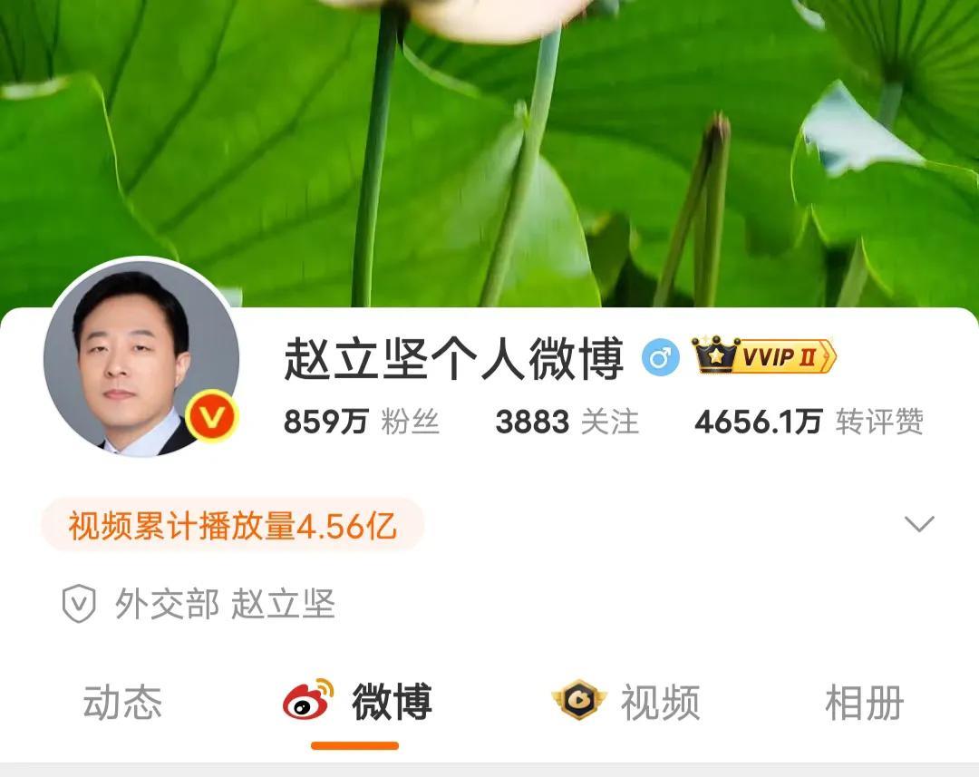 赵立坚是社媒达人，翻看了一下他的微博，一天就发了十几条博文，其中有三条和周深有关