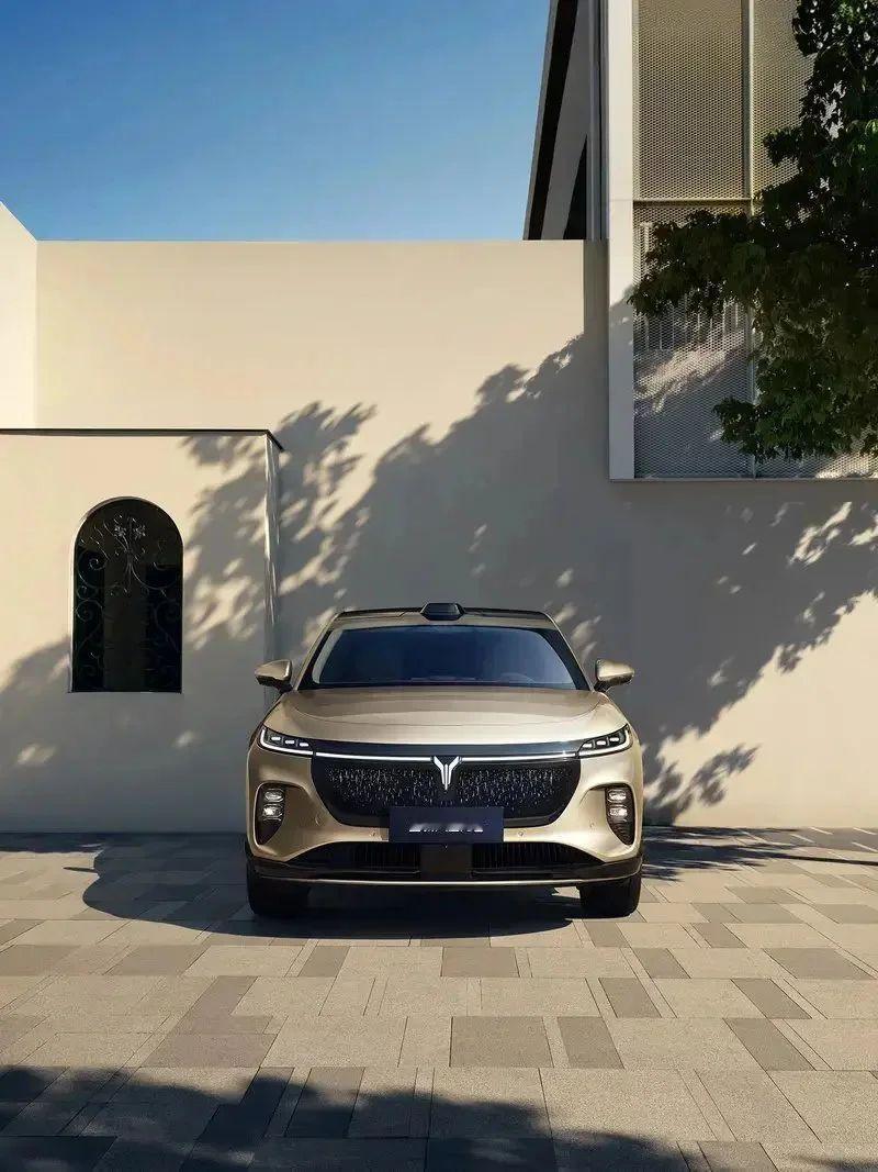 最高续航901km，标配“华为全家桶”，一图看懂仅20.29万元起的全新岚图知音