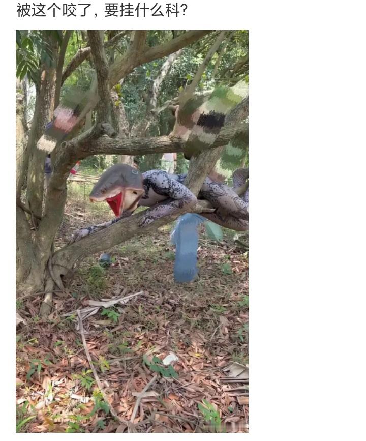 被这个咬了，要挂什么科？