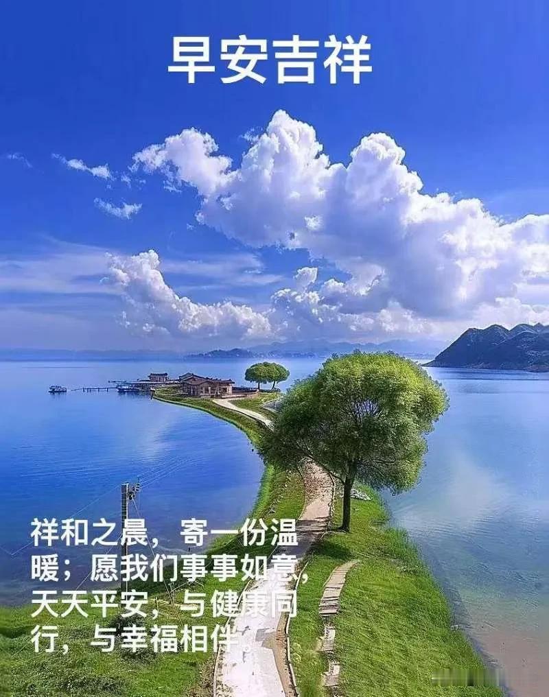 清晨即是新起点，愿你向阳而行，收获满满欢喜。