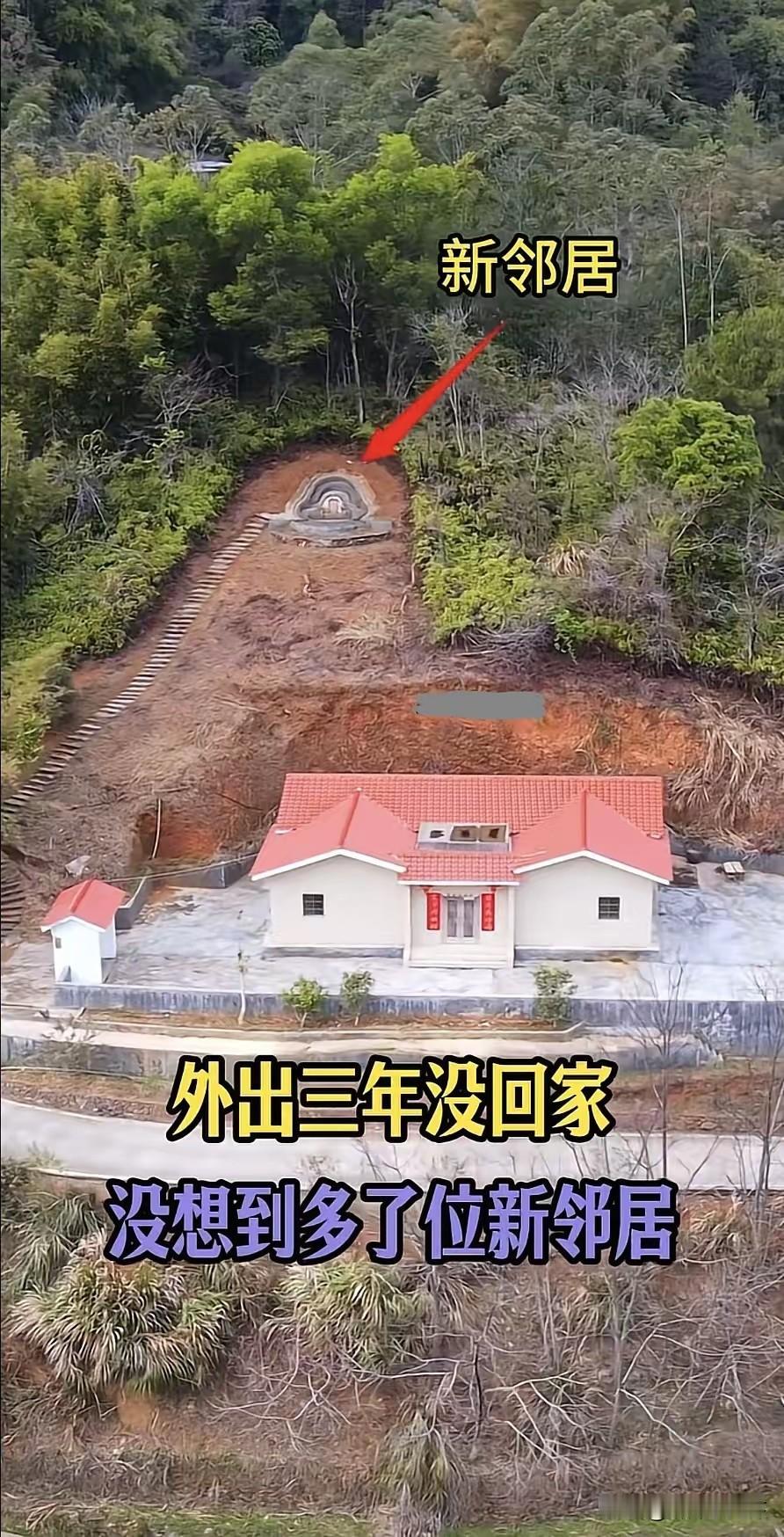 在后山全部栽楠竹，竹子成林后自然就看不到邻居了