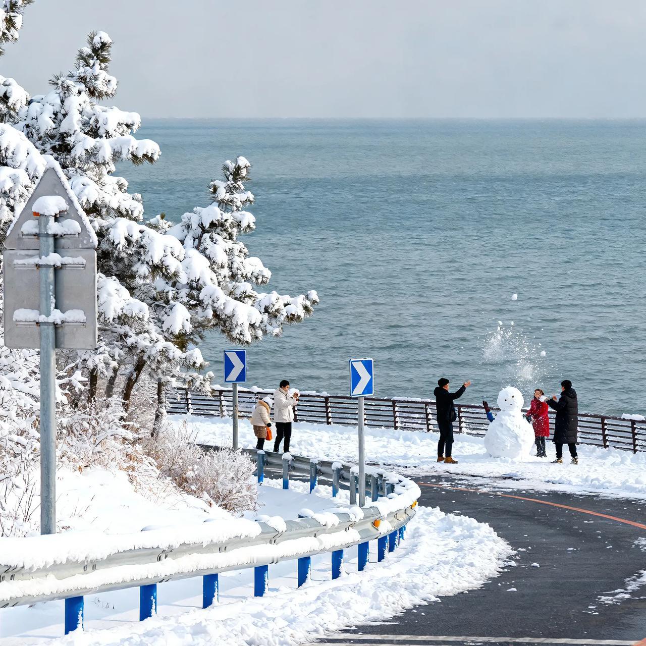 威海这场“倾盆大瓢雪”直接堆出20厘米厚积雪❄️1月10日起，“雪窝”威海