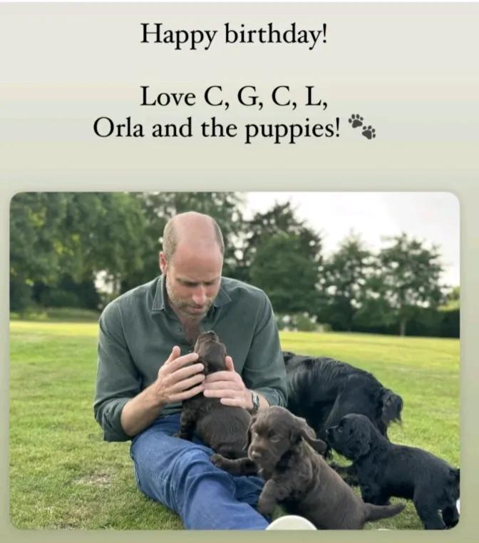 威廉王子43岁生日了哈：第一张图片是凯特王妃亲自掌镜，拍的威廉王子和小狗玩耍的情
