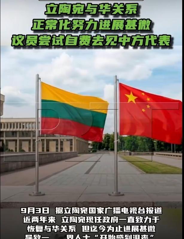 立陶宛议员想代表国家自费找中国和解？它不是知道错了，它只是知道自己要死了！有