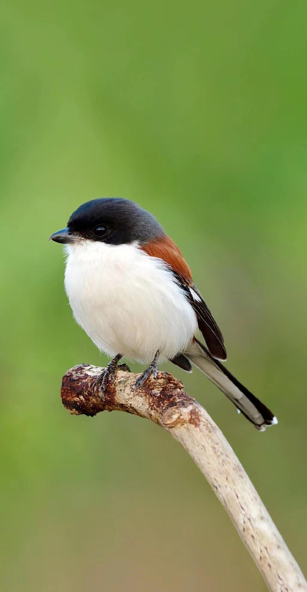 沉默，是成年人最好的体面。年少时总爱争辩，凡事要争个对错、论个输赢，长大后