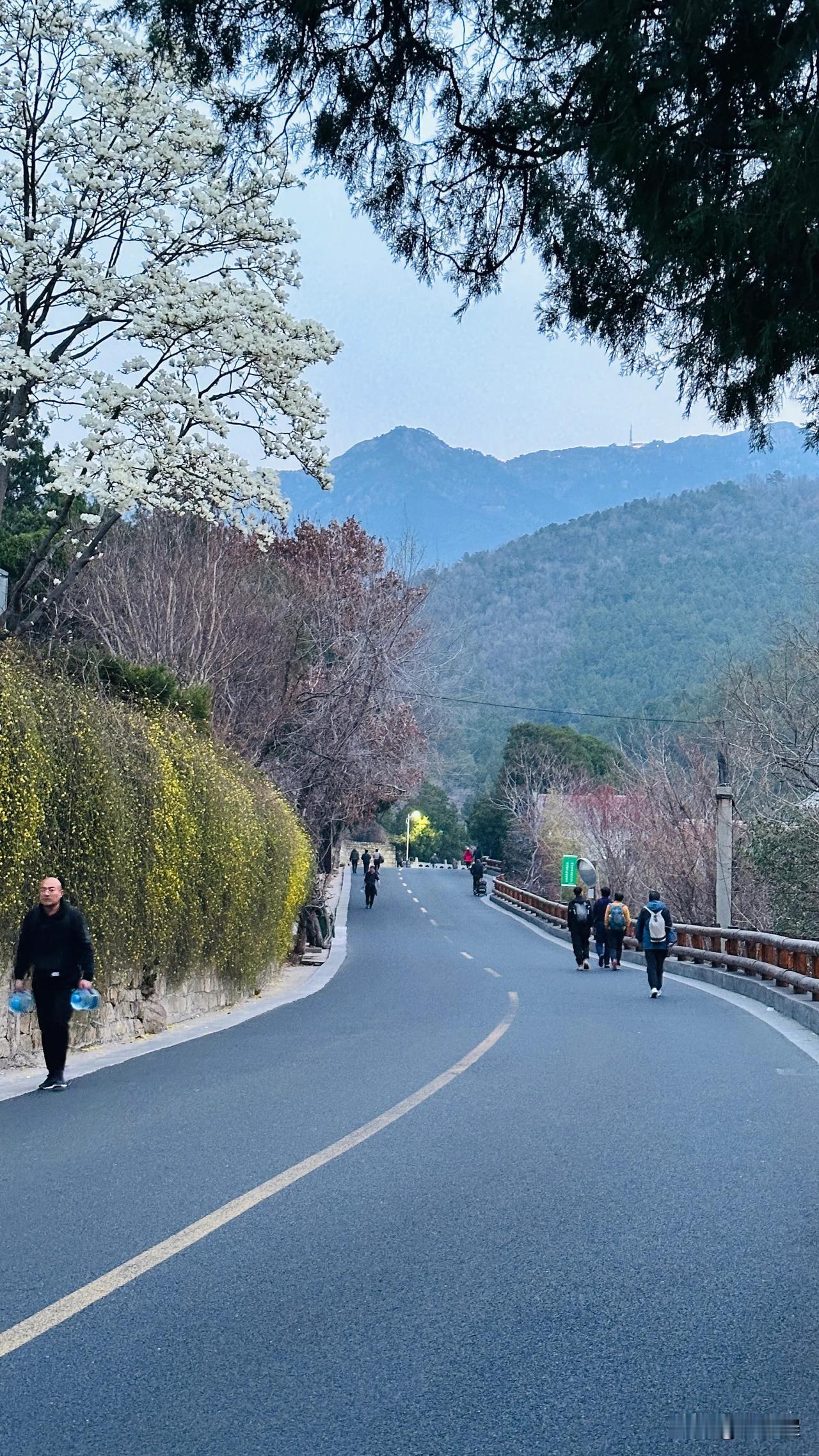 323泰山徒步泰山徒步路线：-八里沟-龙角峰-鸡肠子沟-香炉口-雁回峰-风