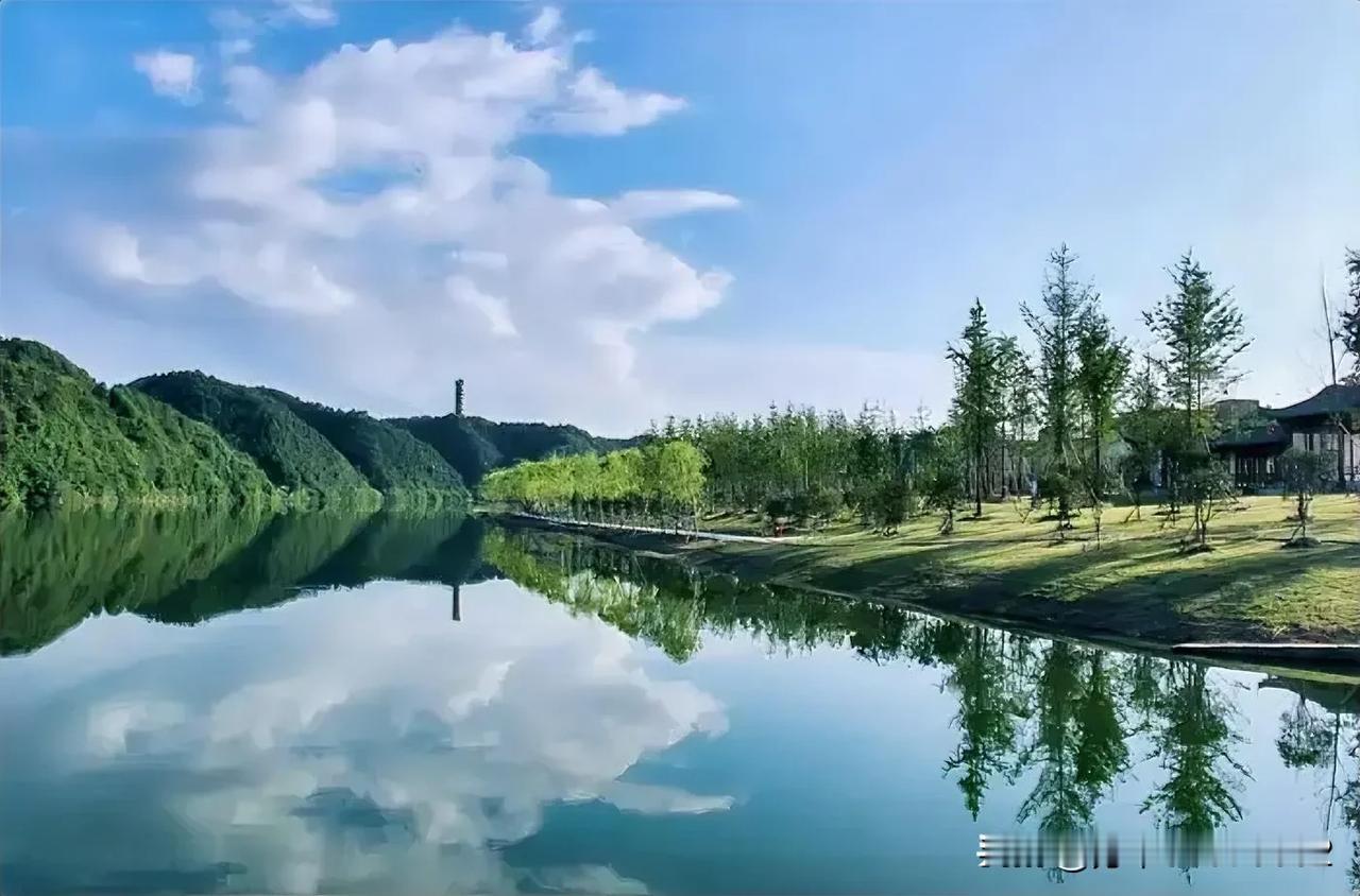 当人口数量逐年在减少，年轻人不断的涌向大城市，像黄山市这样的经济单一，地处皖南山