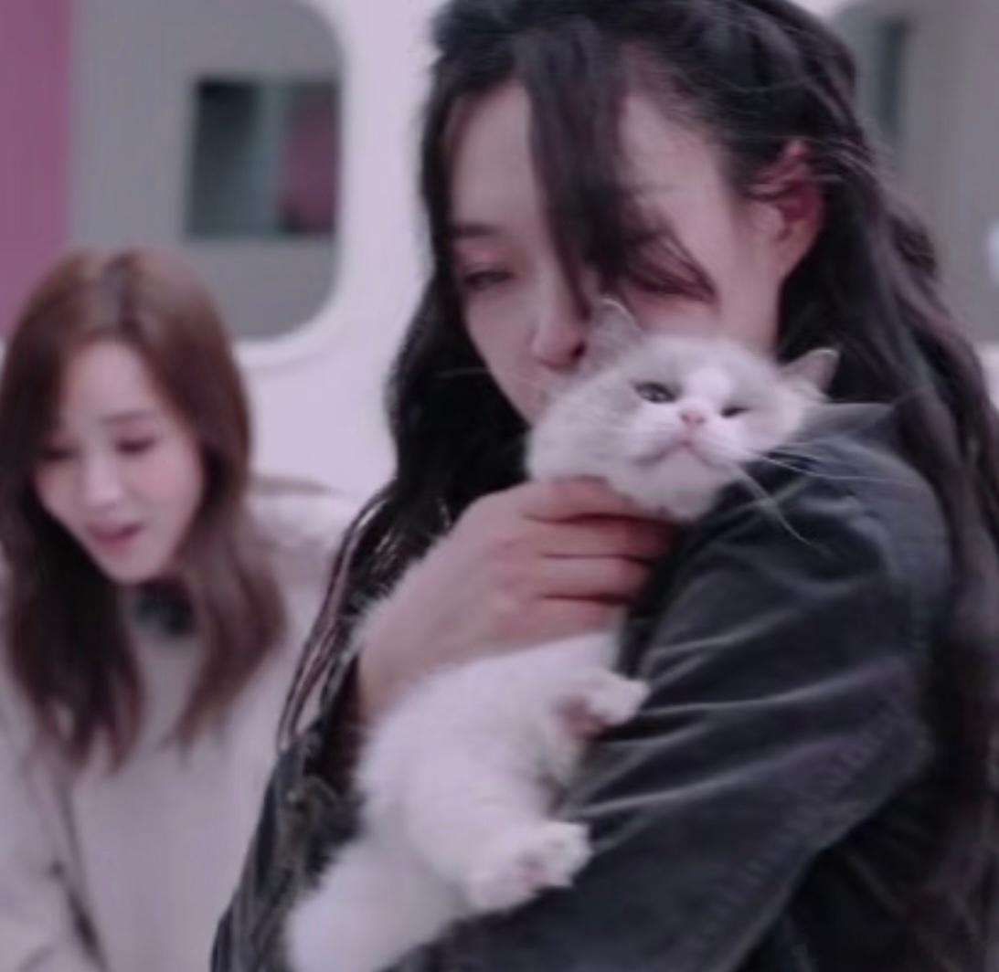 猫猫从享受抱抱到伸爪拒绝脑袋快被管乐吸秃噜毛啦管乐｜浪姐6｜乘风破浪的姐姐[超话
