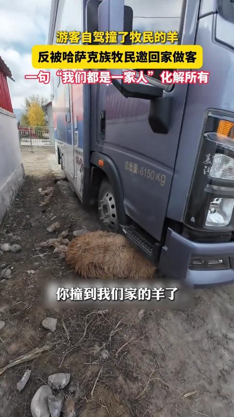 “上央视新闻了!”新疆阿勒泰,一女子自驾游时,不小心撞到了牧民的羊,羊腿骨折活不