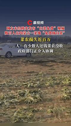 内蒙古一农场，200亩地的白菜，有人造谣发视频“白菜免费”，先是三五人试水，后来