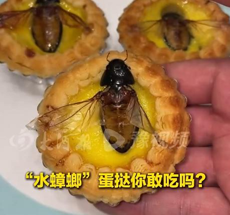 “真是稀奇！”10月17日报道，广东佛山，一老板将水蟑螂做成食物后，放在蛋挞上面
