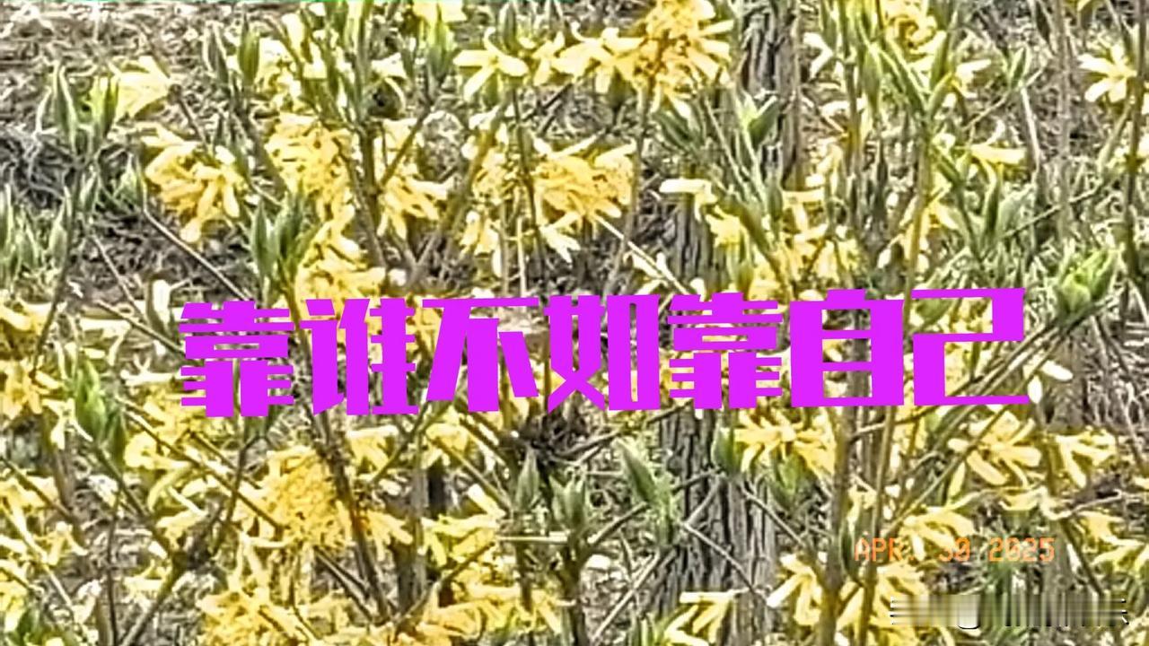 欣赏张柏芝的态度，学会放下，余生好好爱自己。因前夫谢霆锋时隔多年的演唱会火爆