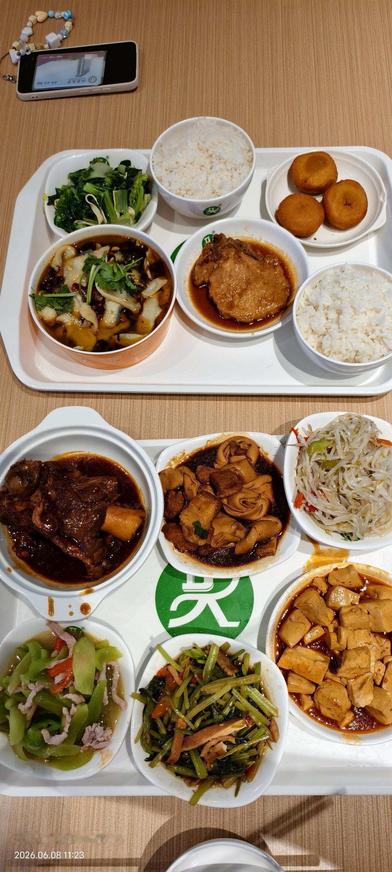 今天回镇江，中午和女儿在学校食堂吃饭，仨人拿了十个菜，有酸菜鱼、红烧大骨头、大
