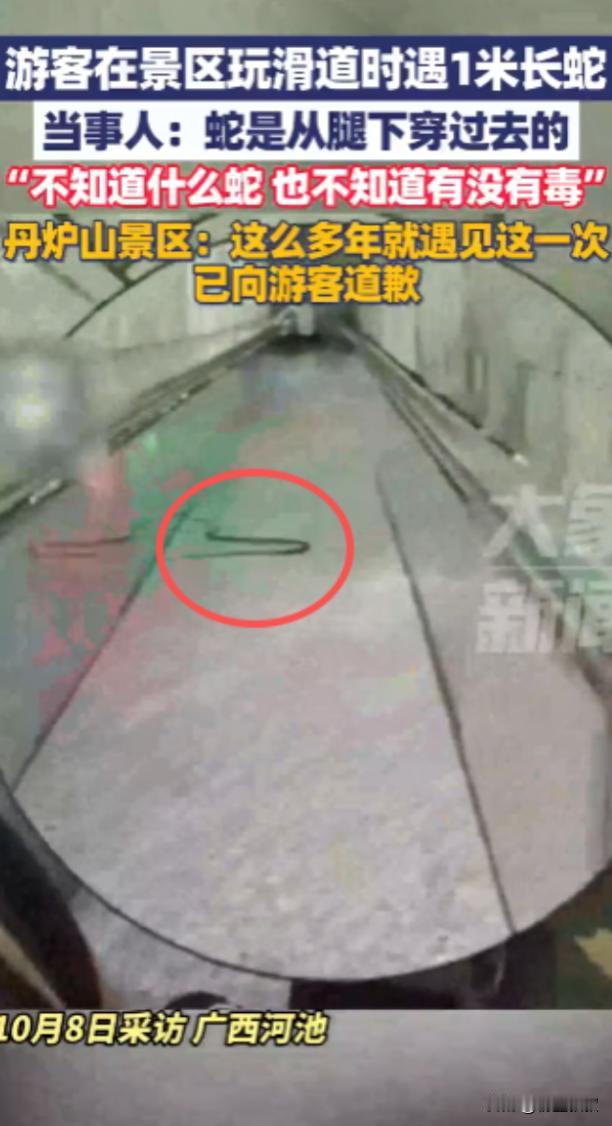 “太吓人了!”10月3日,广西河池,一男子在玩景区内的玻璃滑道时身后忽然窜出一条