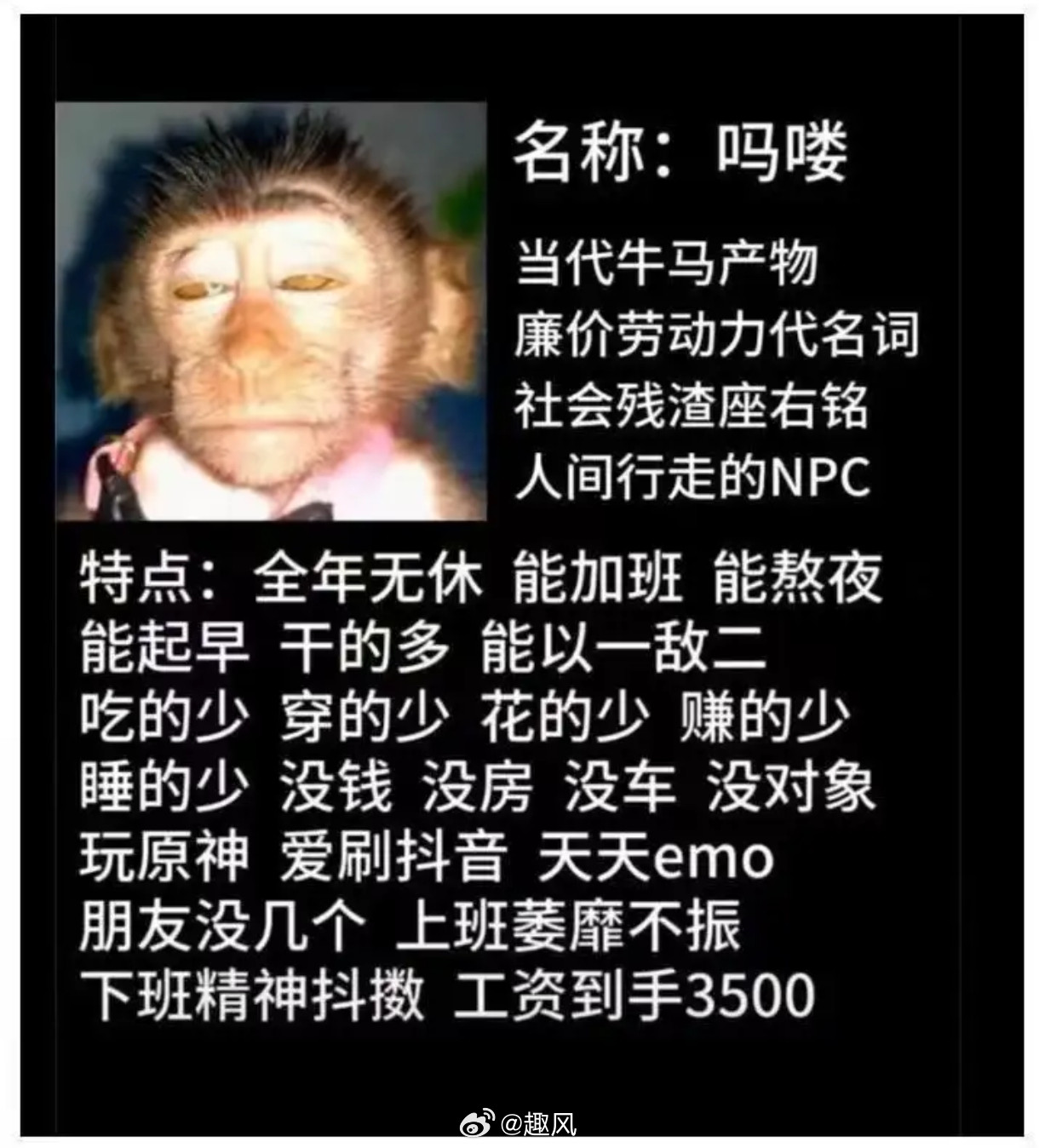 吗喽，当代牛马产物…​​​